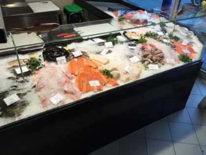 Foto: Der Wolfsbarsch