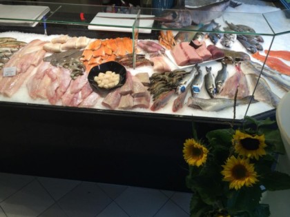 Foto: Der Wolfsbarsch
